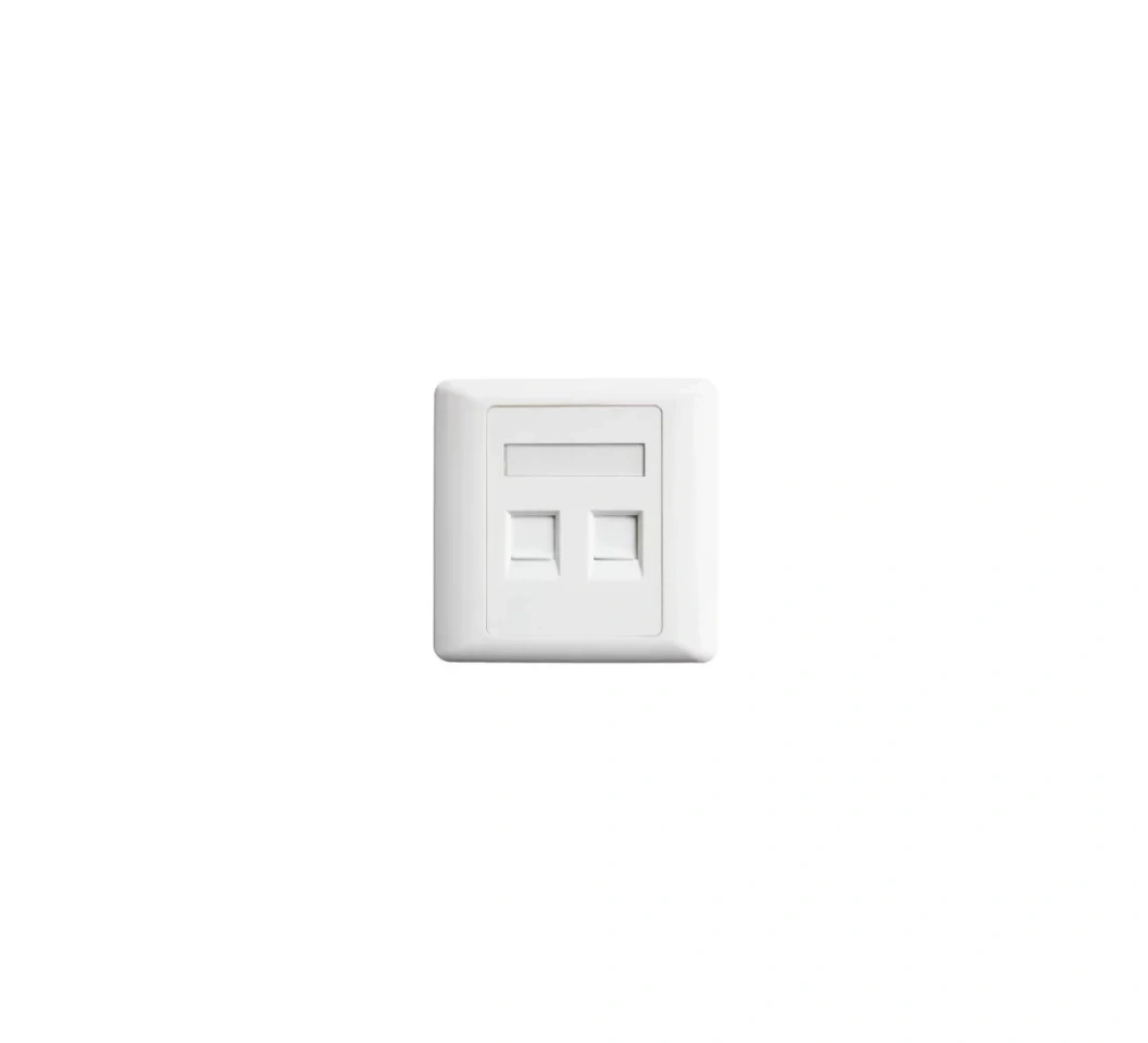 Officepoint Dual Faceplate CAT6